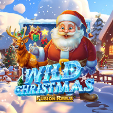Wild Christmas